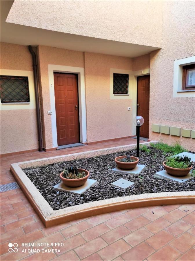 Appart T2 Plein Pied Avec Jardinet Tres Bien Situe * Olbia